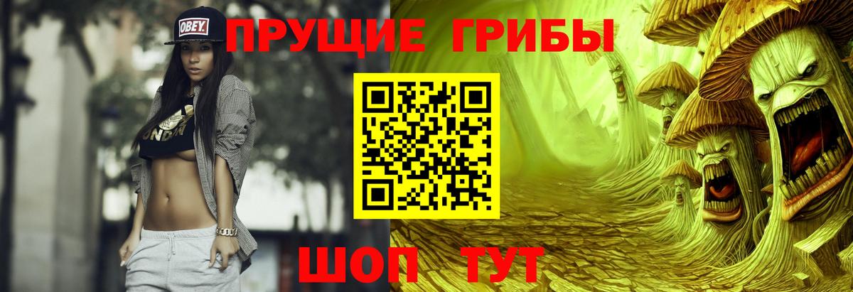 Псилоцибиновые грибы Cubensis Люберцы